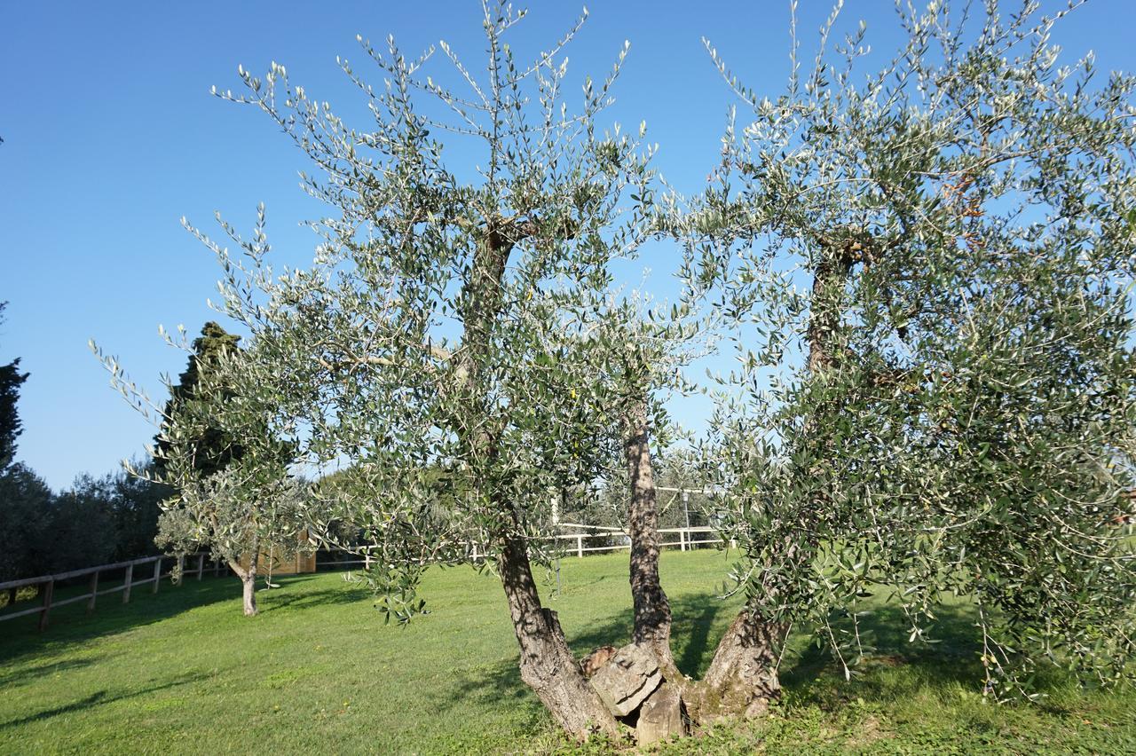 Residenza Piandaccoli Villa Lastra a Signa Exteriör bild